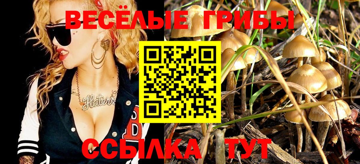 Галлюциногенные грибы GOLDEN TEACHER Острогожск