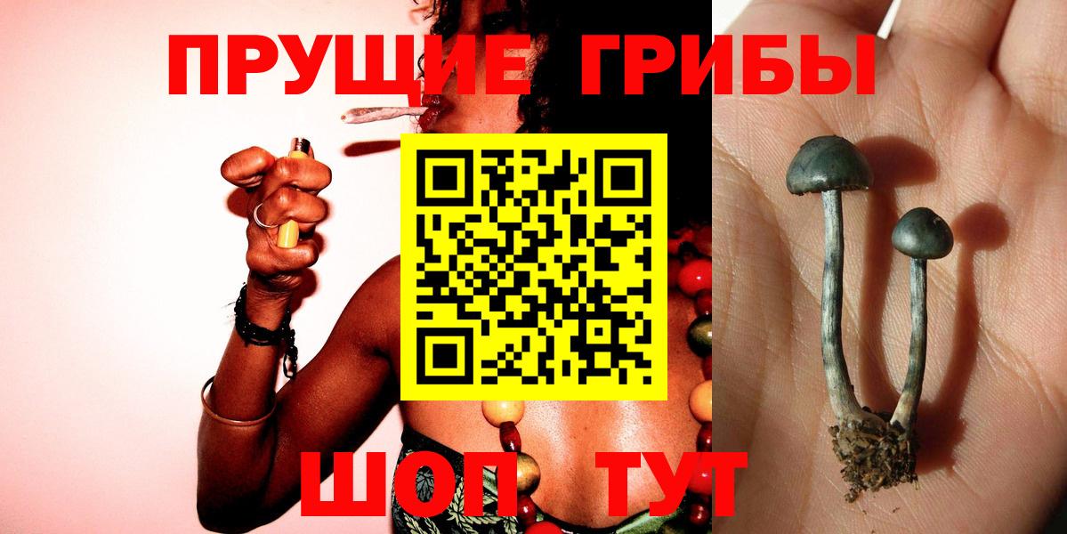 Псилоцибиновые грибы мицелий  Вход с VPN  Псилоцибиновые грибы прущие грибы  Острогожск 